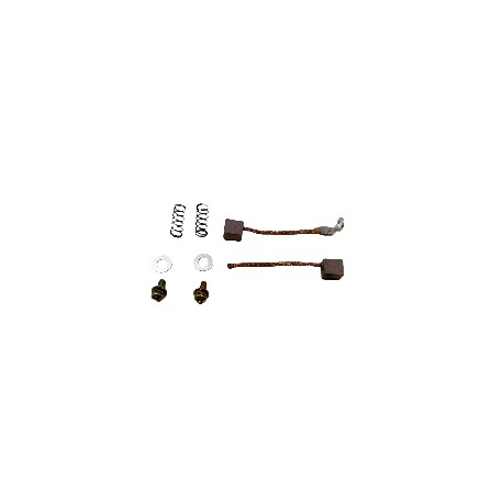 CARBONES MOTOR PARTIDA FZ 16